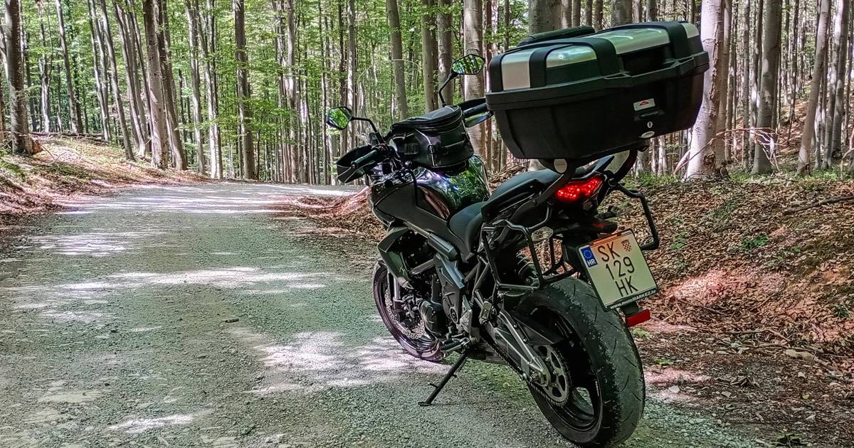 PAPUK__OTOK_U_DREVNOM_PANONSKOM_MORU-9_original